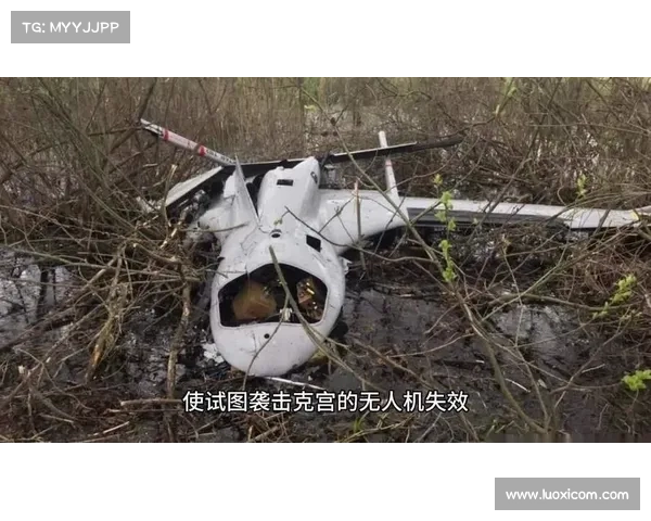 NBA非洲联赛爆发安全危机 球场遭无人机袭击引发恐慌 NBA非洲联赛爆发安全危机 球场遭无人机袭击引发恐慌